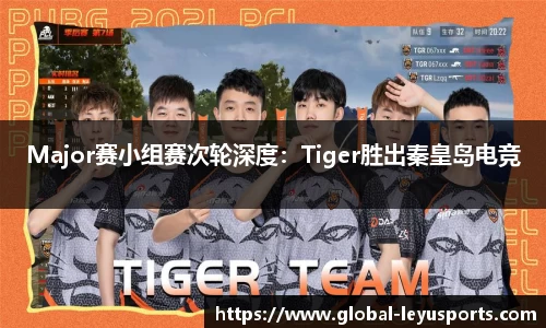 Major赛小组赛次轮深度：Tiger胜出秦皇岛电竞